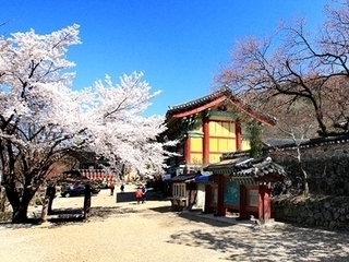 갑사